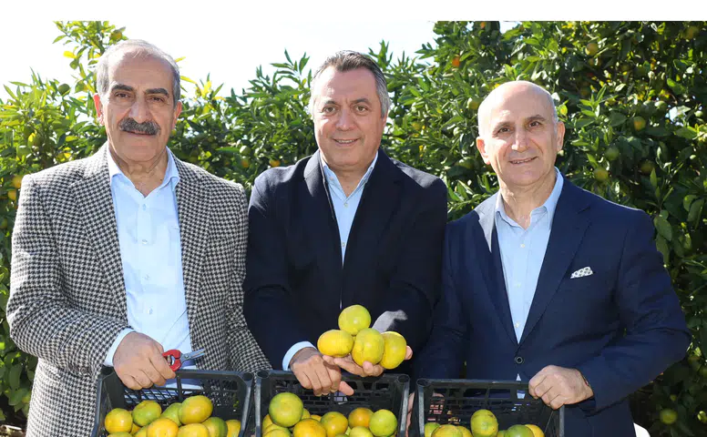 Satsuma Mandalinasında İhracat Sezonu Başladı!
