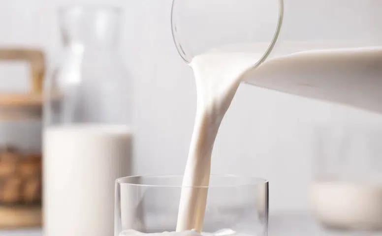Thermomix® ile Vegan Mutfakta Lezzet Yolculuğuna Çıkın!