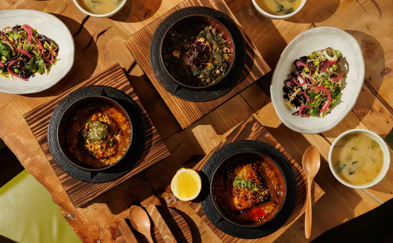 ROKA İstanbul, Kış Sezonuna Özel Donburi Menüsüyle Misafirlerini Ağırlamaya Hazır!