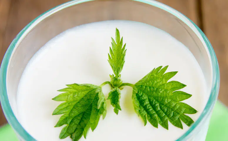 Süt Ürünleri: Susuzluğu Gidermede Etkili Bir Alternatif!