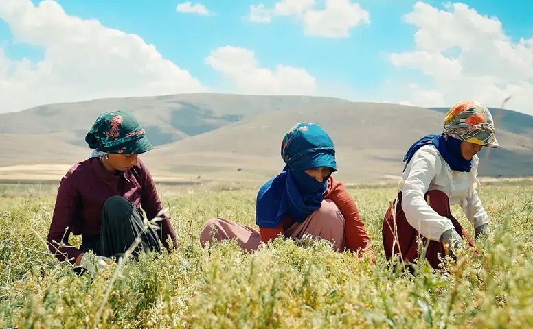 Migros'un Yenilikçi Tarım Projesi Küresel Ölçekte Takdir Topladı!