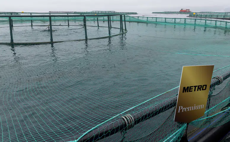 Sofralarınızı Şenlendiren Metro Premium Türk Somonu Tekrar Satışta!