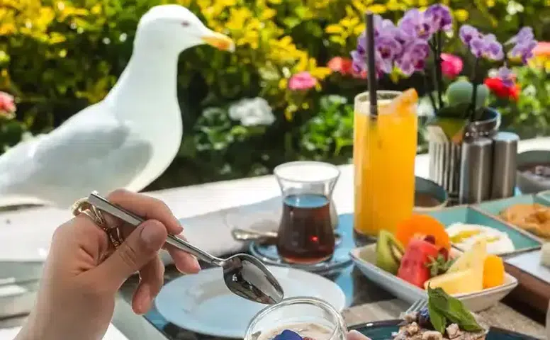Conrad İstanbul Boğazı'nın Göz Alıcı Manzarasında Mükemmel Kahvaltı Keyfi Başlatıyor!