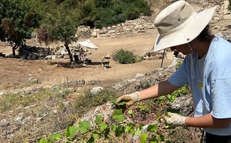 Aspendos'ta Antik Dönem Bağcılığına Ait İzler Keşfedildi!