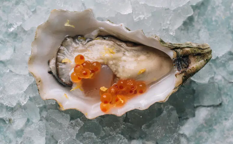 Nemo Restoran, Tersane İstanbul'da Akvaryum ile Deniz Altı Deneyimi Sunmaya Başlıyor