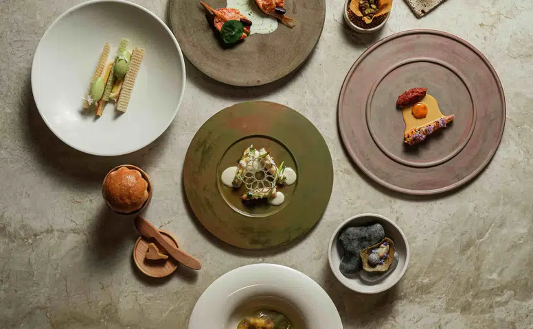 Yelve Restoran ve Gastronometro: Yerel Lezzetlerle Dolu 'Micro Season' Gastronomi Keşfi