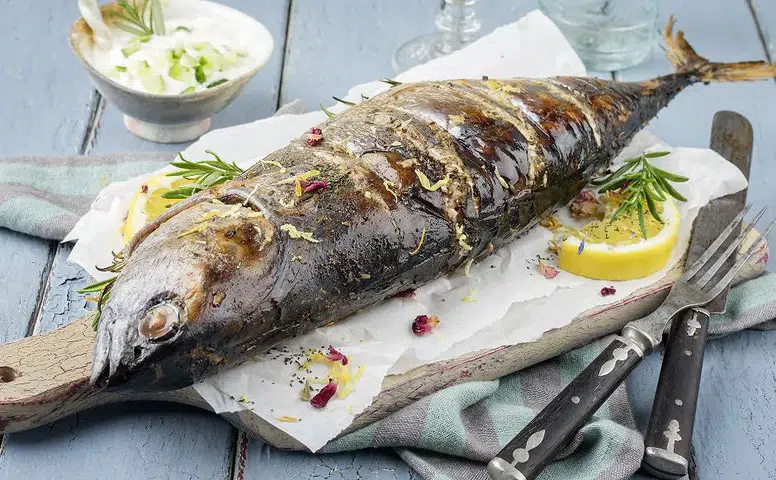 Palamutun En İyi Tarifleri ve Lezzetli Pişirme Teknikleri...