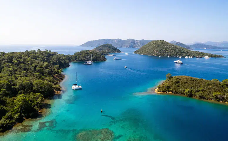 Jolly'den Etkileyici Başarı:Pazarın Çok Üstünde Büyüme Sağlıyoruz