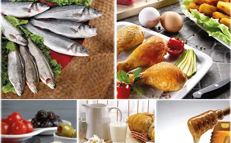 Dünya Genelinde Protein İhtiyacını Karşılayan İhracatçıların Yıllık Geliri 2 Milyar Doları Geçti!
