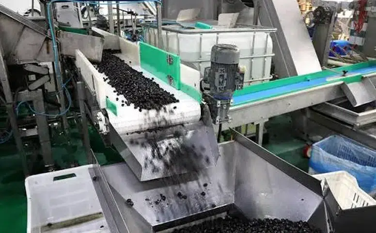 Marmarabirlik, İhracat Stratejisini Orta Doğu Pazarına Yönlendirdi