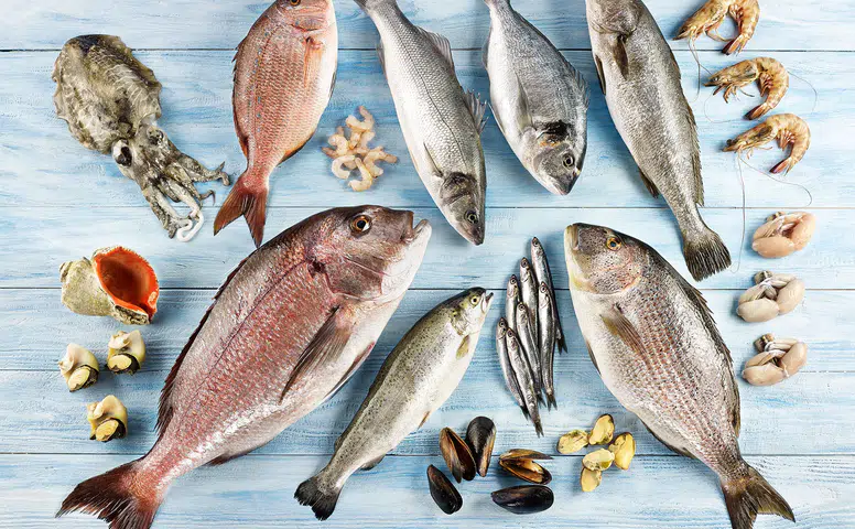 Su Ürünleri Sektörü, Future Fish Eurasia'da Bir Araya Geliyor!
