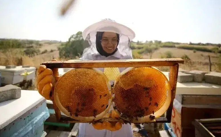 Bal Üretiminde Rekor: Beklentiler 100 Bin Ton Seviyesinde!