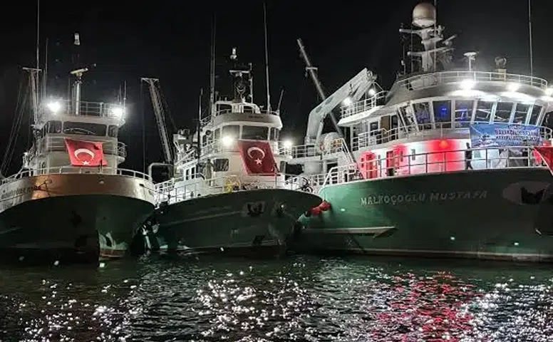 Taze Balık Zamanı! Balıkçılar Tezgahlarını Hazırladı, Lezzet Avı Başlıyor!