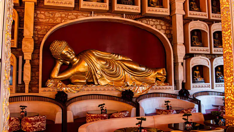 Gastronomi Meraklılarının Dikkatini Çekecek Yeni Bir Adım: Jie Fişekhane Açıldı!